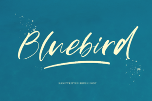 Bluebird: A Script Handwritten Font That Makes Campaigns Stand Out