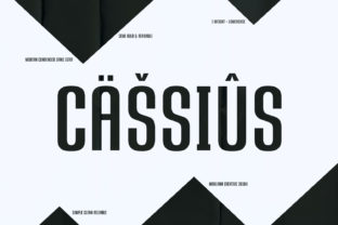 Cassius: A Bold Sans Serif Font for Business Branding