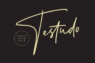Testudo Font: Bold & Light Handwritten Style for Elegant Web Design